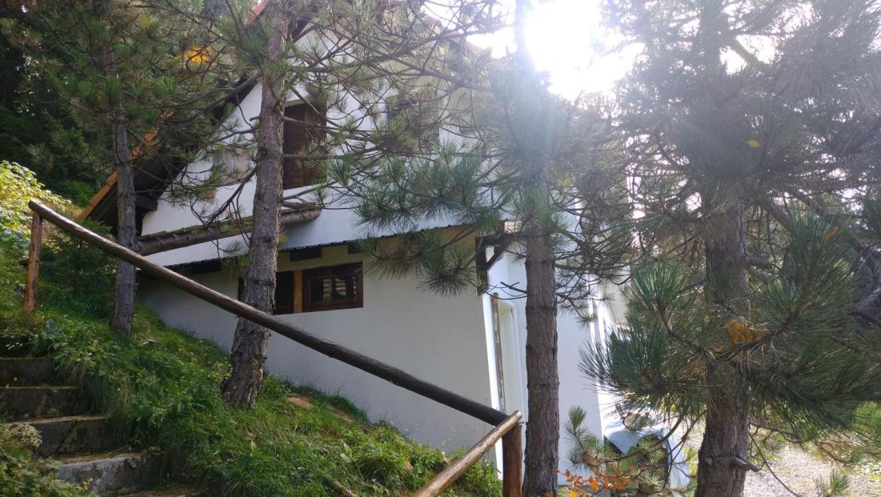 Uki & Sofi Mountain House Hotel Kopaonik Exterior photo